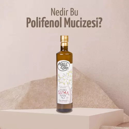 Nedir Bu Polifenol Mucizesi?