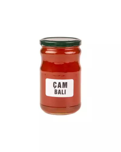 Çam Balı